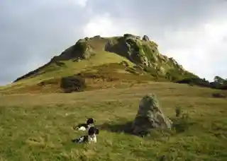 Deganwy Castle