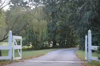Beechwood
