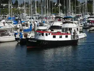 MV Plover (ferry)