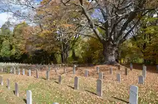 Connecticut Valley Hospital Cemetery