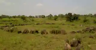 Stone circles of Junapani