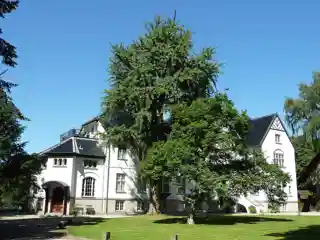 Vænget