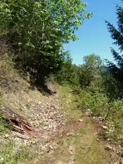 China Ditch