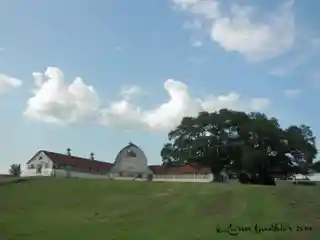 Central Louisiana State Hospital Dairy Barn