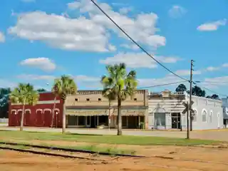 Shellman Historic District