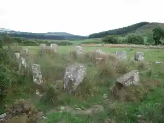 Carrigagulla