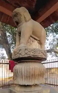 Sankissa