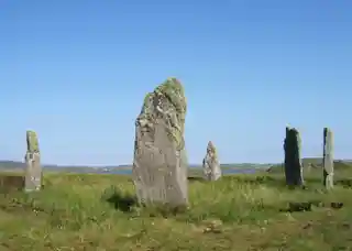 Callanish IV