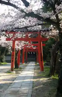 Yoshida Shrine吉田神社