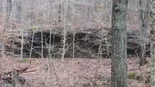 Potts Creek Rockshelter Archeological Site (12CR110)