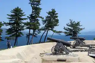 Obama Domain Battery