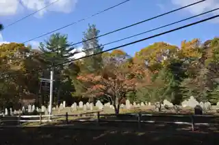Ancient Burying Ground