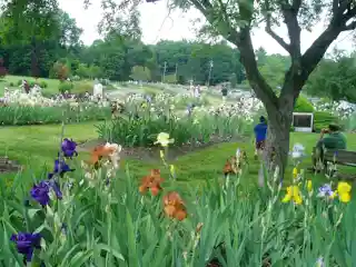 Presby Memorial Iris Gardens Horticultural Center