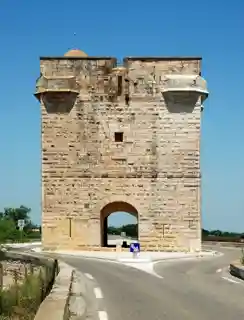 Carbonnière tower