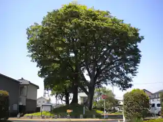 Koganei Ichirizuka