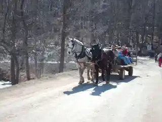 Malabar Farm