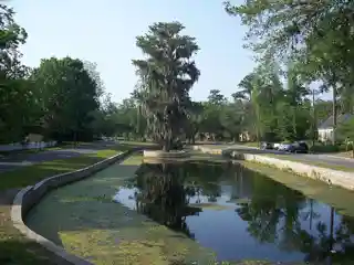 Northeast Gainesville Residential District