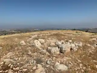 Bull Site