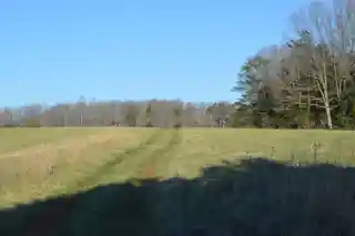 Tusculum