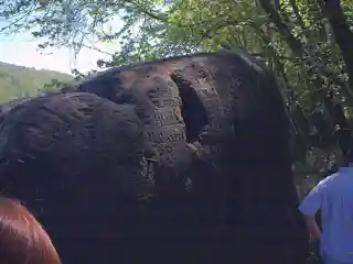 Indian God Rock Petroglyphs Site (36VE26)