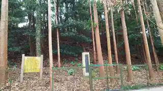Ōgushi Shell Midden