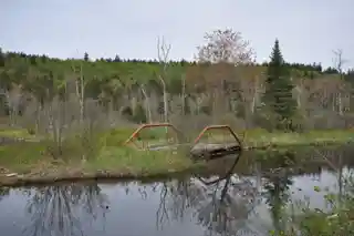 Coleman Bridge