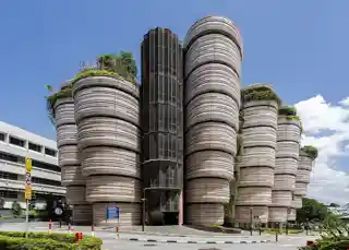 The Hive