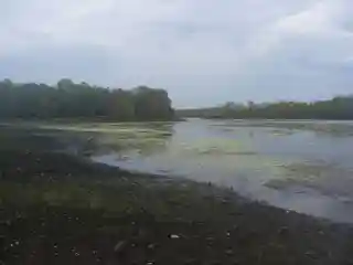 Manton Dam