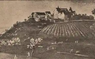 New Bolanden Castle