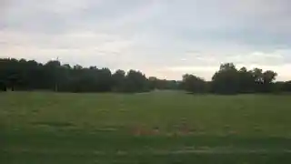 Shaw Farm