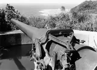 Blunts Point Naval Gun