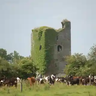 Cantwell's Castle