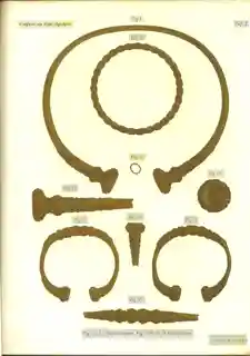 Waldalgesheim chariot burial