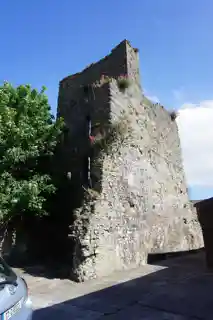 Fanning's Castle