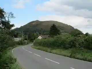Llwyn Bryn-Dinas