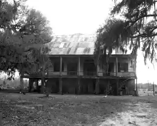Darby Plantation
