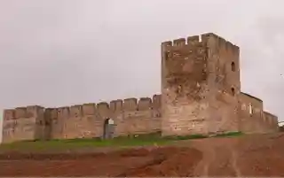 Castle of Valongo