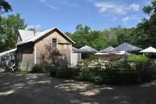 Mill at Freedom Falls