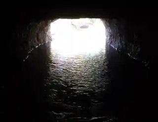 Montgomery Bell Tunnel