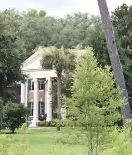 Hollywood Plantation
