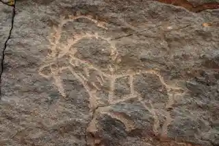 Bir Hima Rock Petroglyphs and Inscriptions