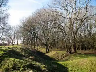 Cadbury Camp