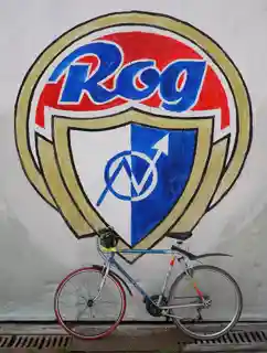 Rog