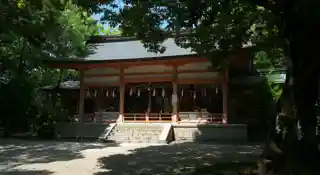 Meta Shrine