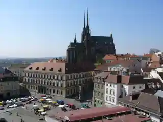 Zelný trh