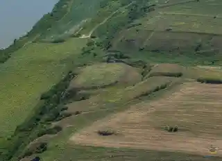 Sacidava