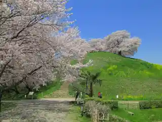 Maruhakayama Kofun