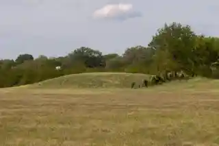 Castalian Springs Mound Site 40 SU 14