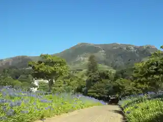 Klein Constantia