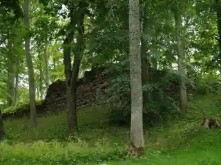 Burtnieki Castle